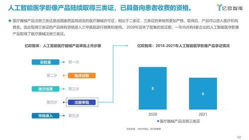 2021年中國人工智能醫(yī)學影像企業(yè)應用軟件開發(fā)發(fā)展報告